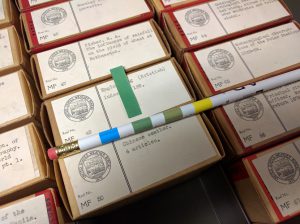 NOAA test strips