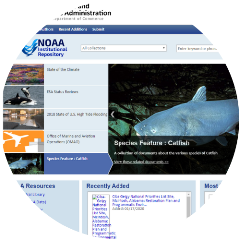 NOAA website