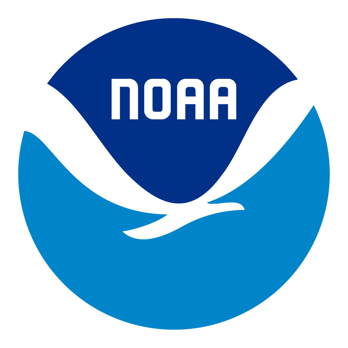 NASA-Goddard Space Logo
